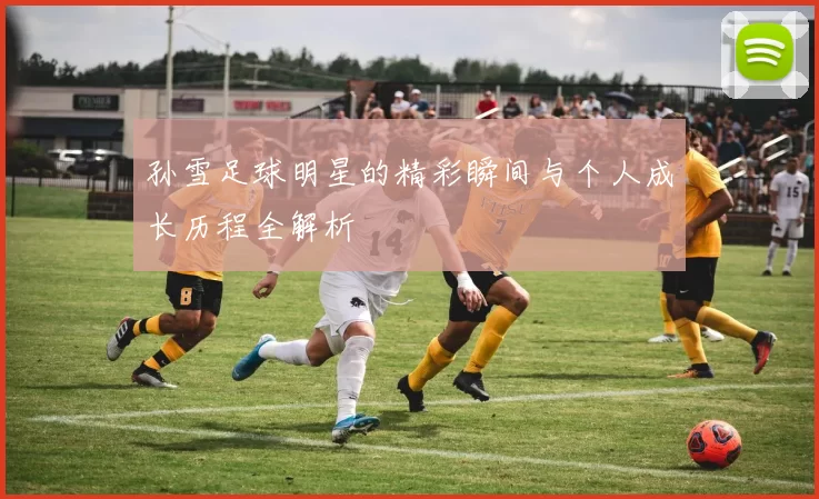 孙雪足球明星的精彩瞬间与个人成长历程全解析