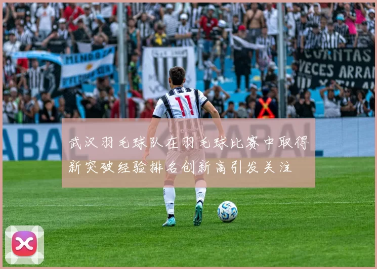 武汉羽毛球队在羽毛球比赛中取得新突破经验排名创新高引发关注