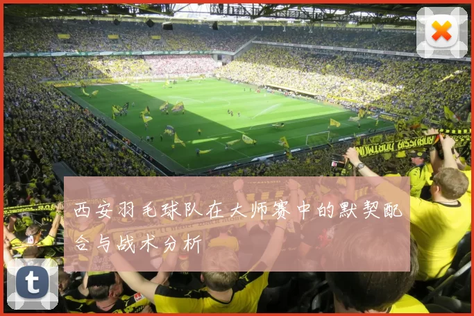 西安羽毛球队在大师赛中的默契配合与战术分析