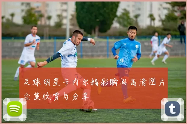 足球明星卡内尔精彩瞬间高清图片合集欣赏与分享