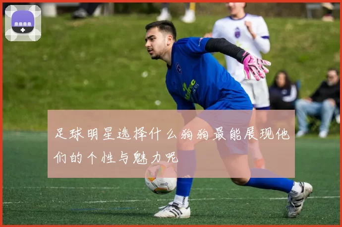 足球明星选择什么狗狗最能展现他们的个性与魅力呢