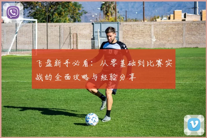 飞盘新手必看：从零基础到比赛实战的全面攻略与经验分享