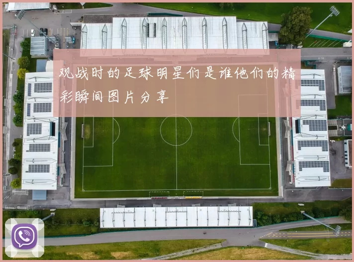 观战时的足球明星们是谁他们的精彩瞬间图片分享
