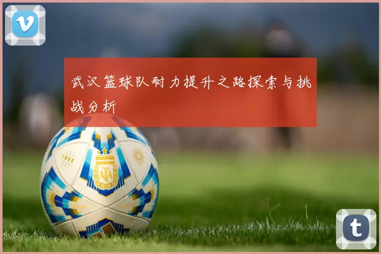 武汉篮球队耐力提升之路探索与挑战分析