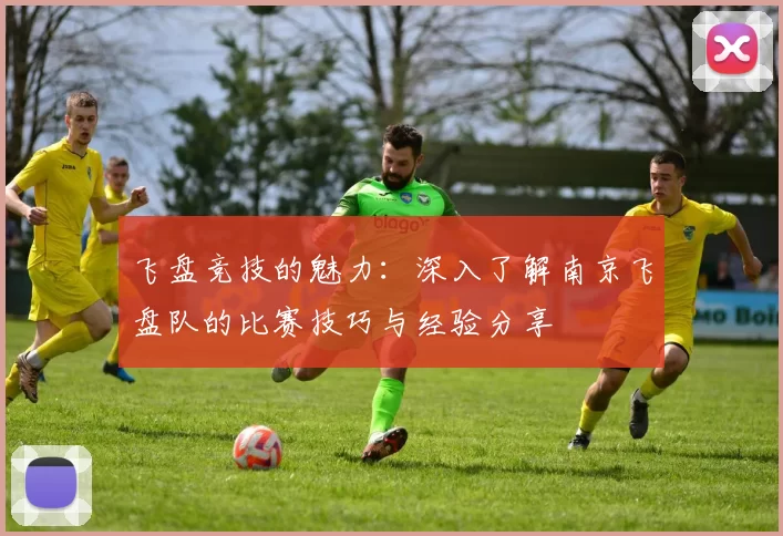 飞盘竞技的魅力：深入了解南京飞盘队的比赛技巧与经验分享