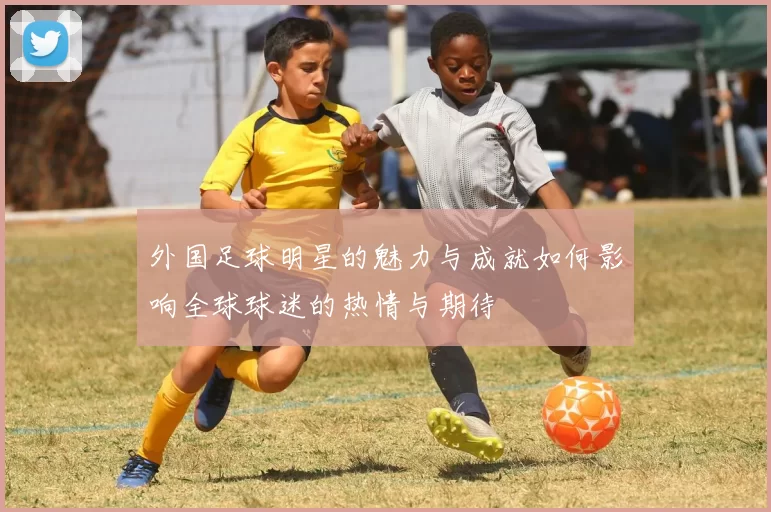 外国足球明星的魅力与成就如何影响全球球迷的热情与期待