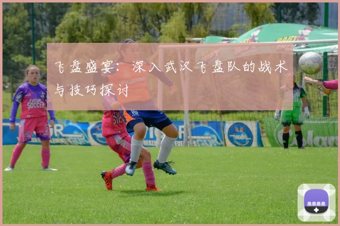 飞盘盛宴：深入武汉飞盘队的战术与技巧探讨