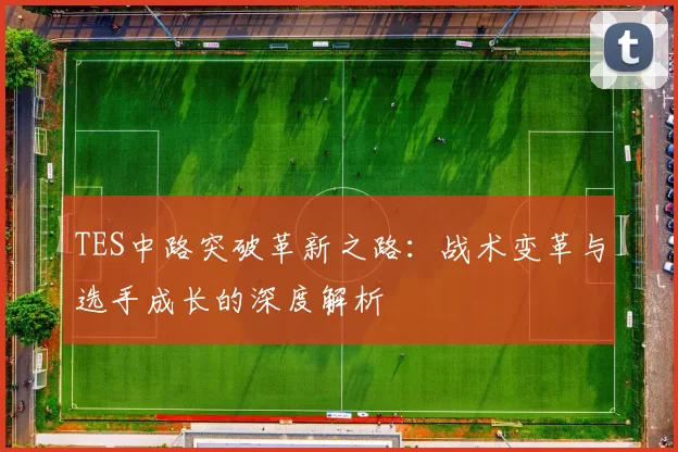 TES中路突破革新之路：战术变革与选手成长的深度解析