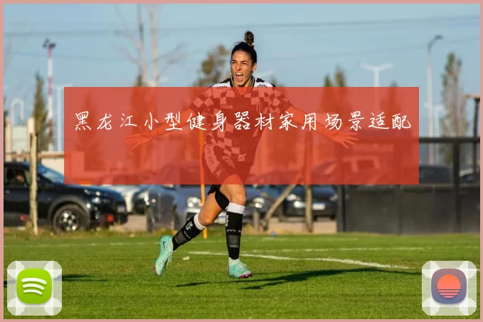 黑龙江小型健身器材家用场景适配
